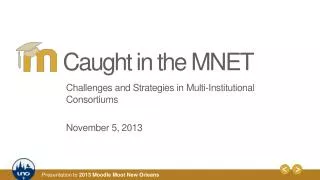 Challenges and Strategies in Multi -Institutional Consortiums November 5, 2013