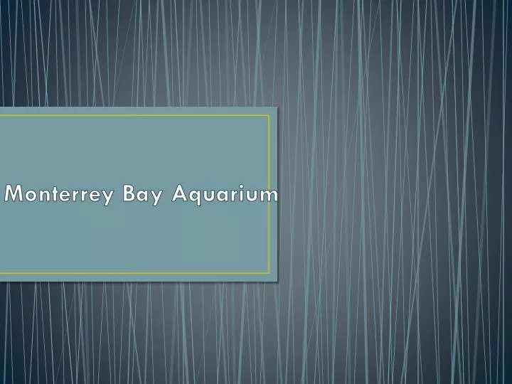 monterrey bay aquarium