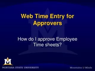 Web Time Entry for Approvers