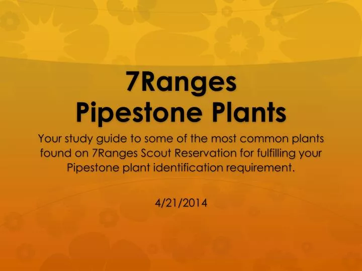 7ranges pipestone plants