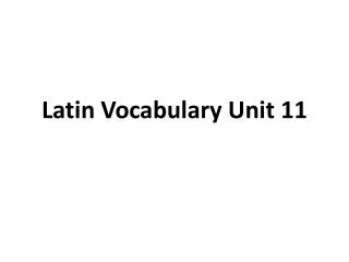 Latin Vocabulary Unit 11