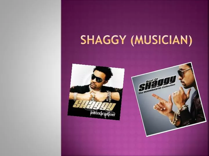 shaggy musician