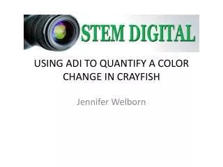 USING ADI TO QUANTIFY A COLOR CHANGE IN CRAYFISH