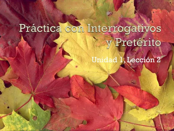 pr ctica con interrogativos y pret rito