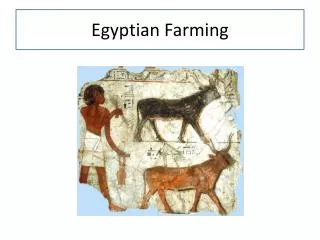 Egyptian Farming