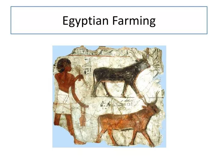 egyptian farming