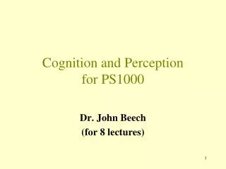 Cognition and Perception for PS1000