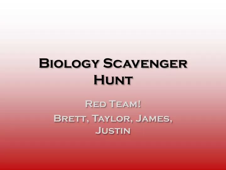 biology scavenger hunt