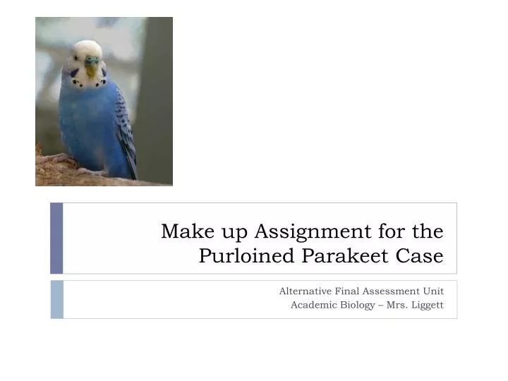 make up assignment for the purloined parakeet case