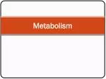 Metabolism - slide 1