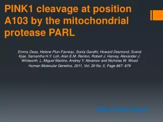 PINK1 cleavage at position A103 by the mitochondrial protease PARL