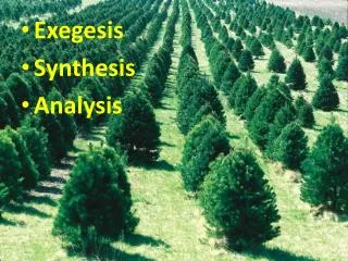 Exegesis Synthesis Analysis