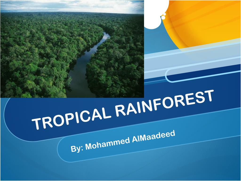 PPT - Enchanting Tropical Rainforest Wonders PowerPoint Presentation ...