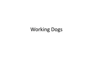 Working Dogs
