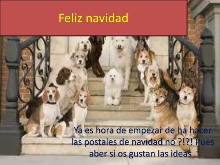 feliz navidad