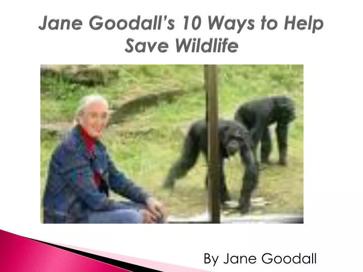 jane goodall s 10 ways to help save wildlife
