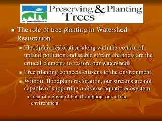 The role of tree planting in Watershed Restoration