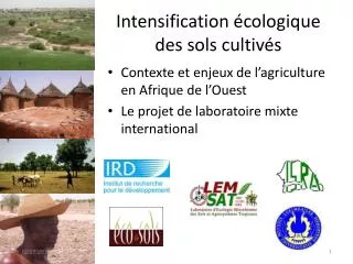 intensification cologique des sols cultiv s