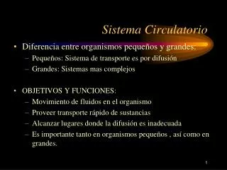 sistema circulatorio