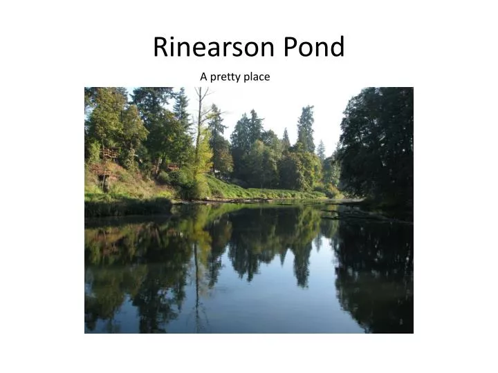 rinearson pond