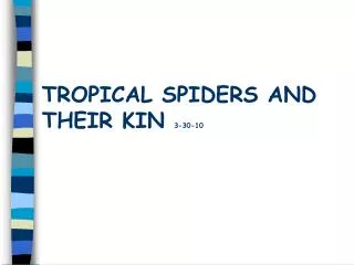 TROPICAL SPIDERS AND THEIR KIN 3-30-10