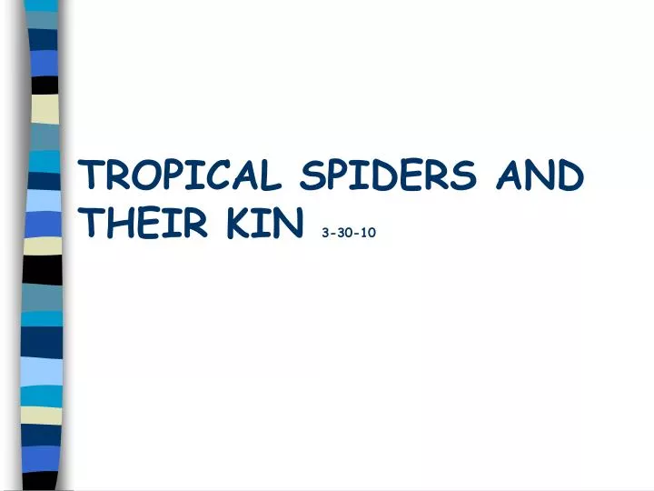 tropical spiders and their kin 3 30 10