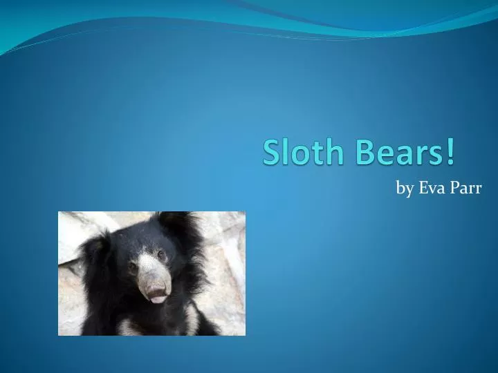 sloth bears