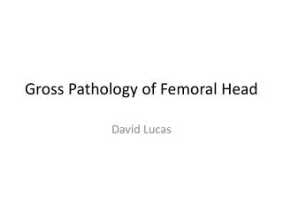 Gross Pathology of Femoral Head