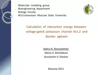 Calculation of interaction energy between voltage-gated potassium channel Kv1.2 and