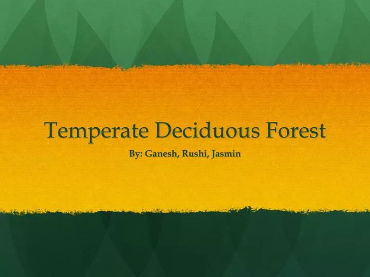 temperate deciduous forest