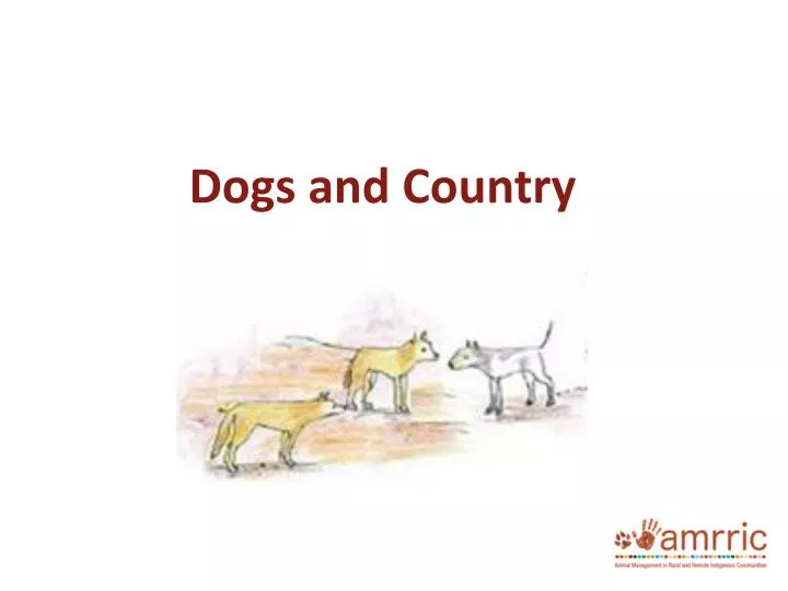 dogs and country