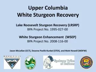 Upper Columbia White Sturgeon Recovery