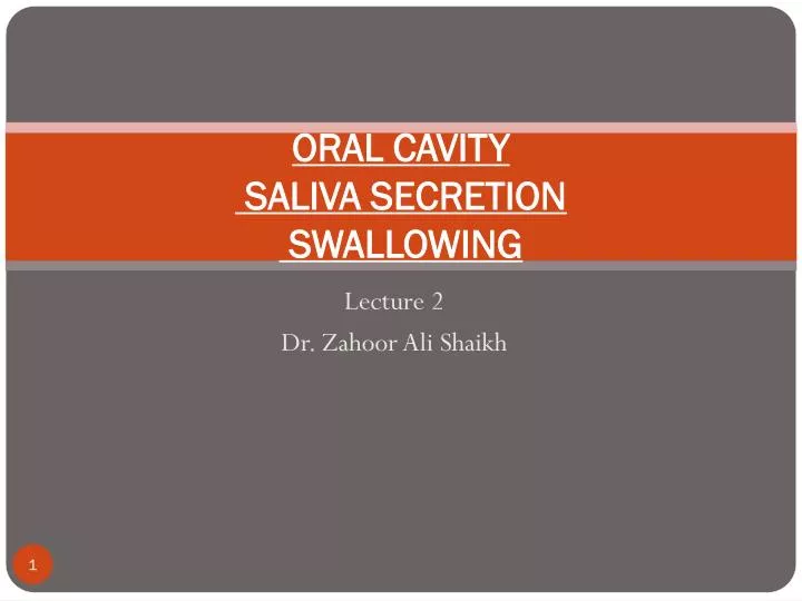 oral cavity saliva secretion swallowing