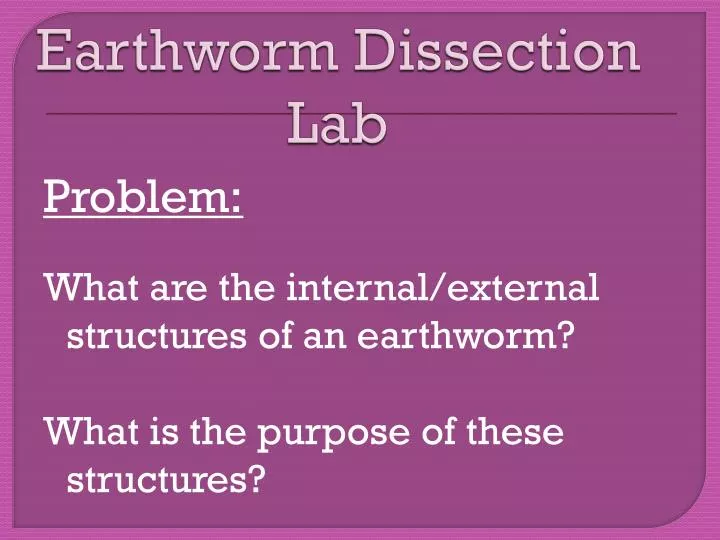 earthworm dissection lab