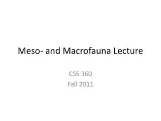 Meso - and Macrofauna Lecture