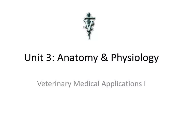 unit 3 anatomy physiology
