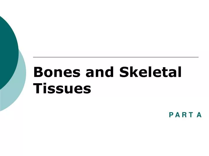 bones and skeletal tissues