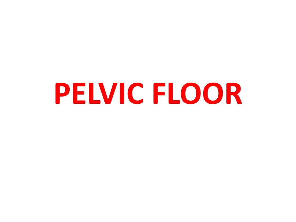 PPT - PELVIC FLOOR PowerPoint Presentation, free download - ID:2359892