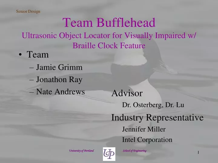 team bufflehead ultrasonic object locator for visually impaired w braille clock feature