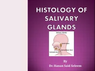 PPT - Salivary Glands and Saliva PowerPoint Presentation, free download ...