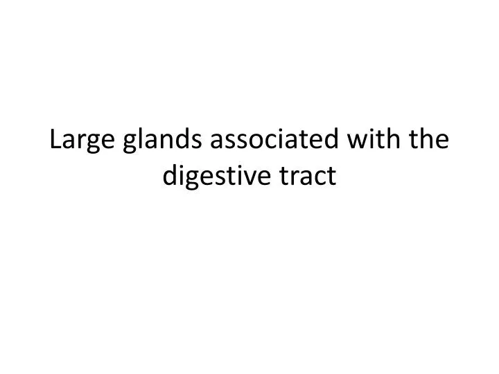 large glands associated with the digestive tract