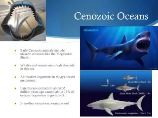 Cenozoic Oceans