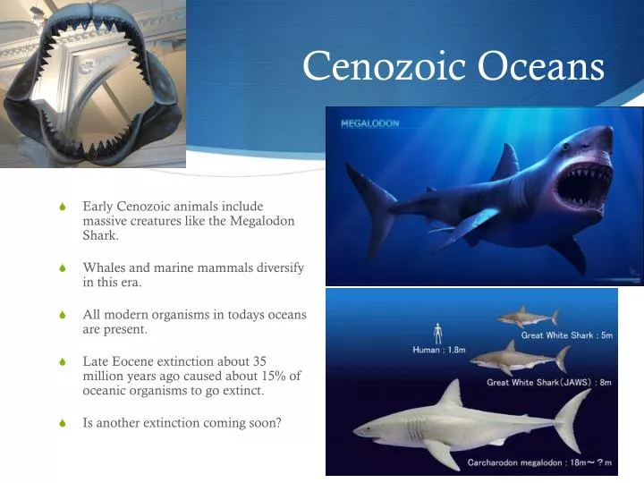 cenozoic oceans