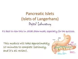 Pancreatic Islets (Islets of Langerhans) Digital Laboratory