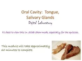 Oral Cavity: Tongue, Salivary Glands Digital Laboratory