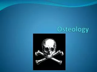 Osteology