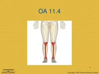 oa 11 4