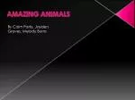 AMAZING ANIMALS - slide 1