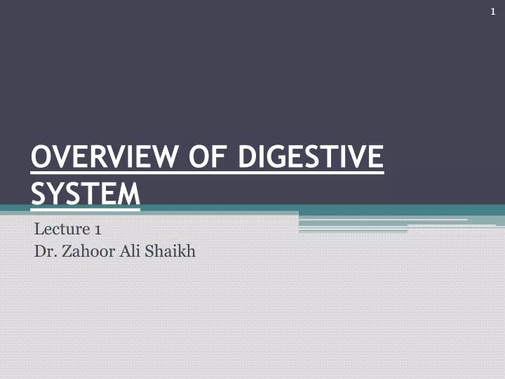 overview of digestive system