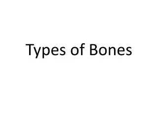 Types of Bones